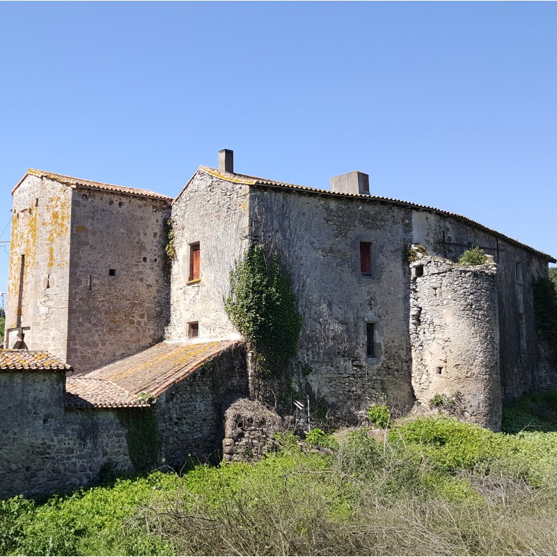 Faye L'Abbesse - Les moulins du Thouaret