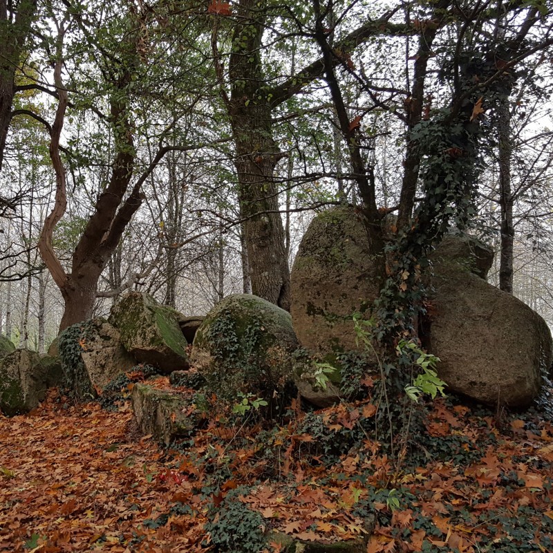 Cerizay - La boucle du Plessis, chemin des lavoirs et châteaux