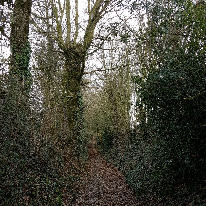 Cirières - Les Sources de l'Argent