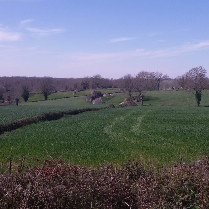 L'Absie - Circuit des Bois des Hauts de Gâtine