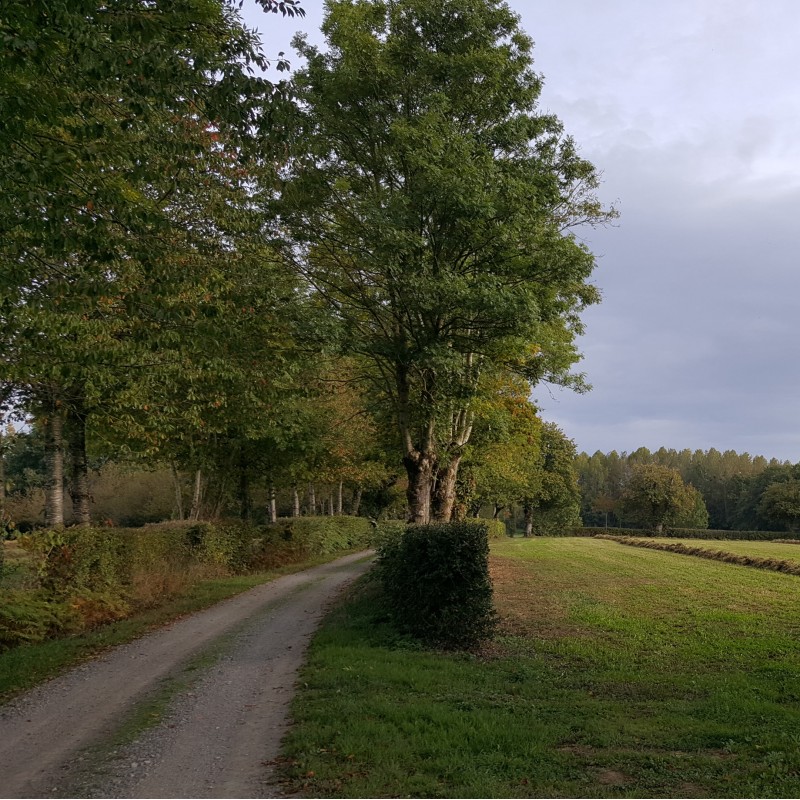 Terves - Sur les pas de la déesse Trivis