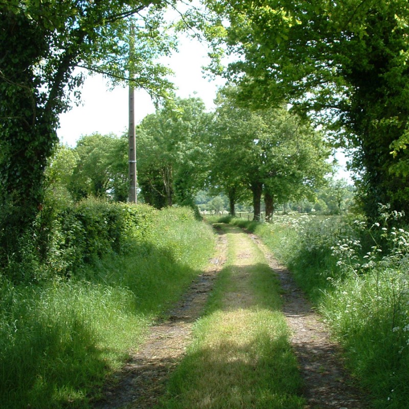 La Ronde - Le chemin des écoliers