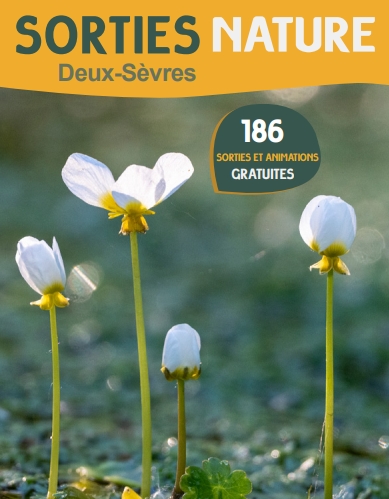 Evènements sportifs