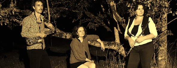 Concerts et Spectacles