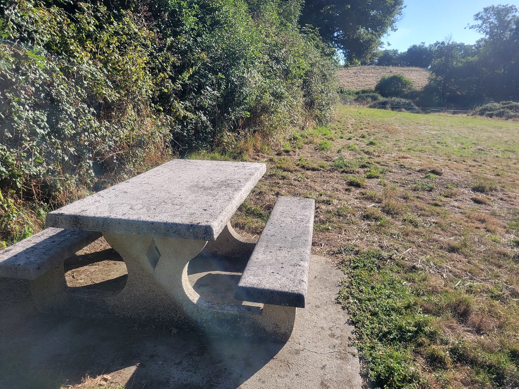 Toutes les activités