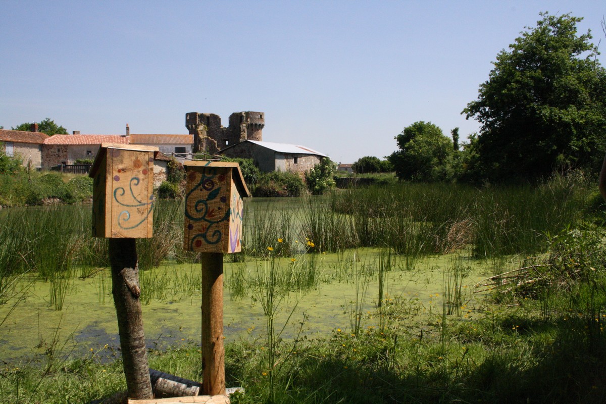 Toutes les activités