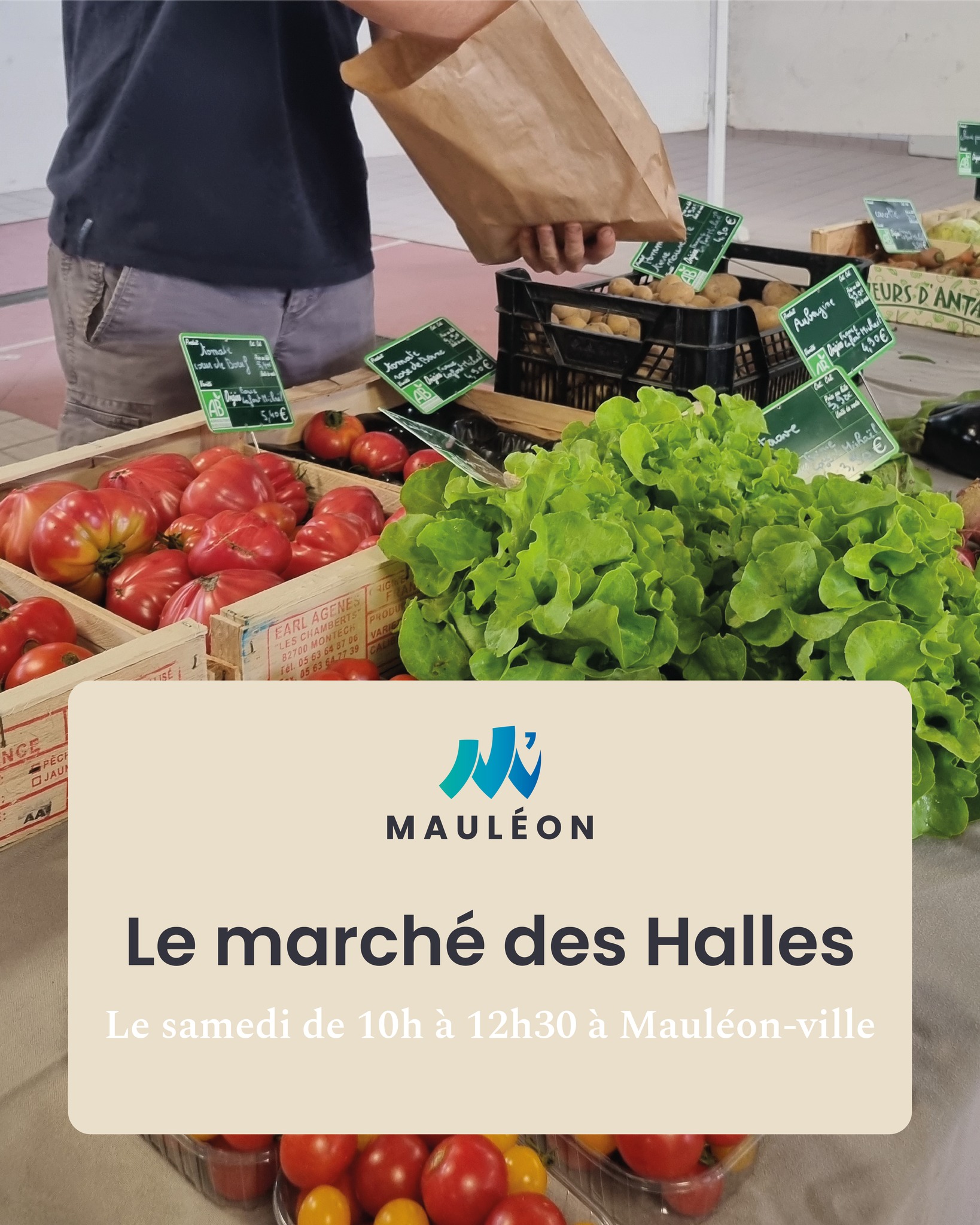 Brocantes et marchés