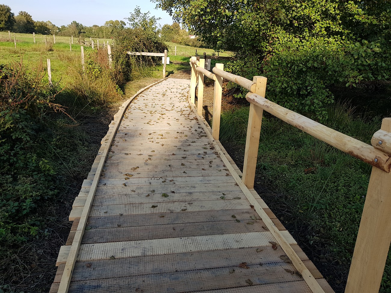 Toutes les activités