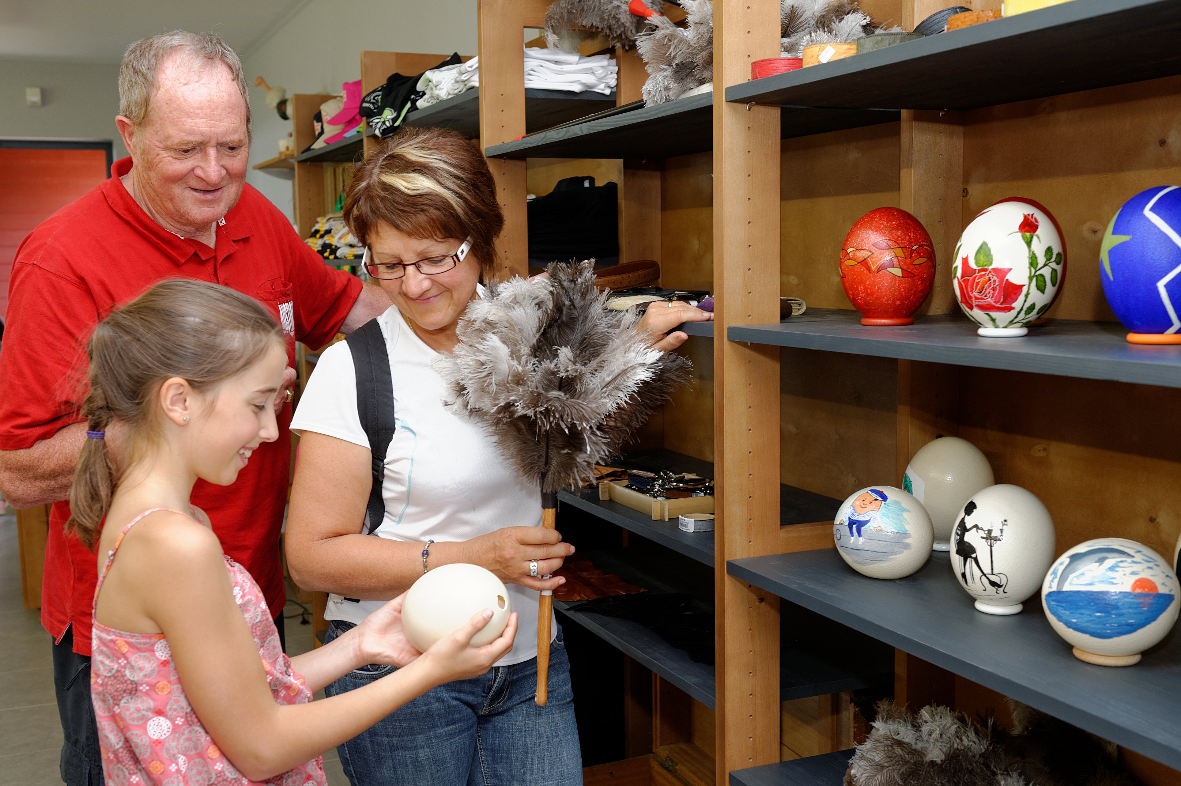 Toutes les activités