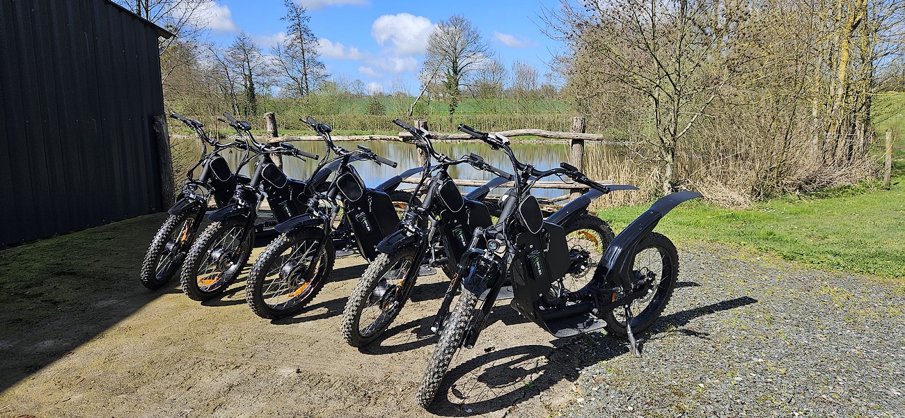 Toutes les activités