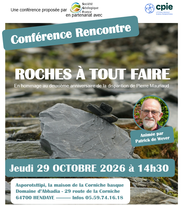 Rencontre avec Patrick de WEVER : Roches à tout faire