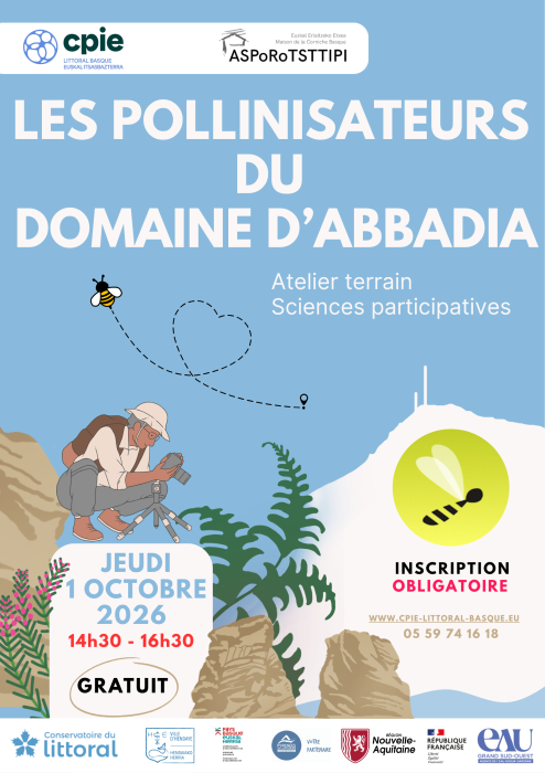 A la découverte des pollinisateurs du domaine d'Abbadia