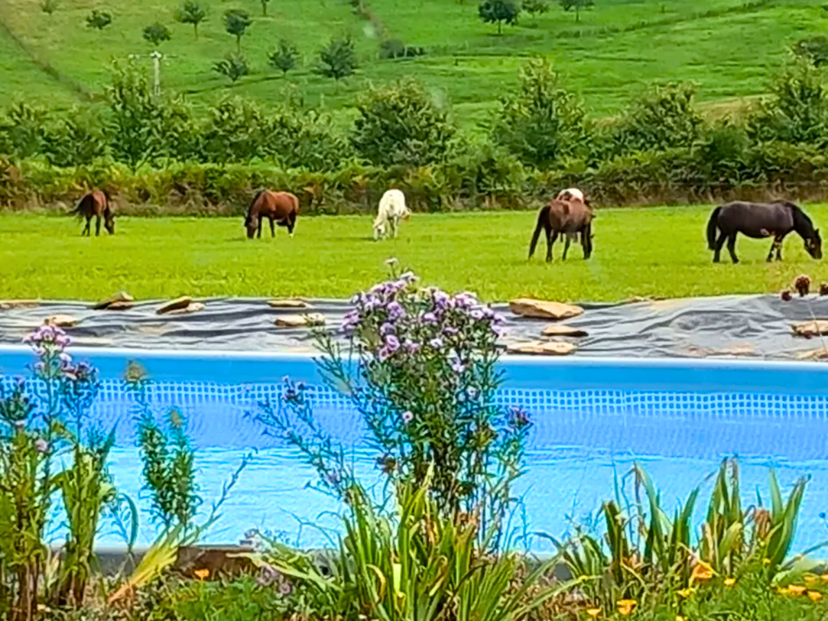 Domaine des Maisons