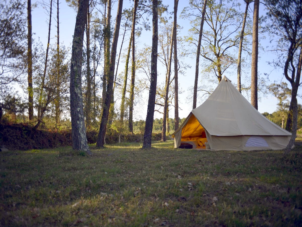 Camping Ocean Shelter - hébergement insolite