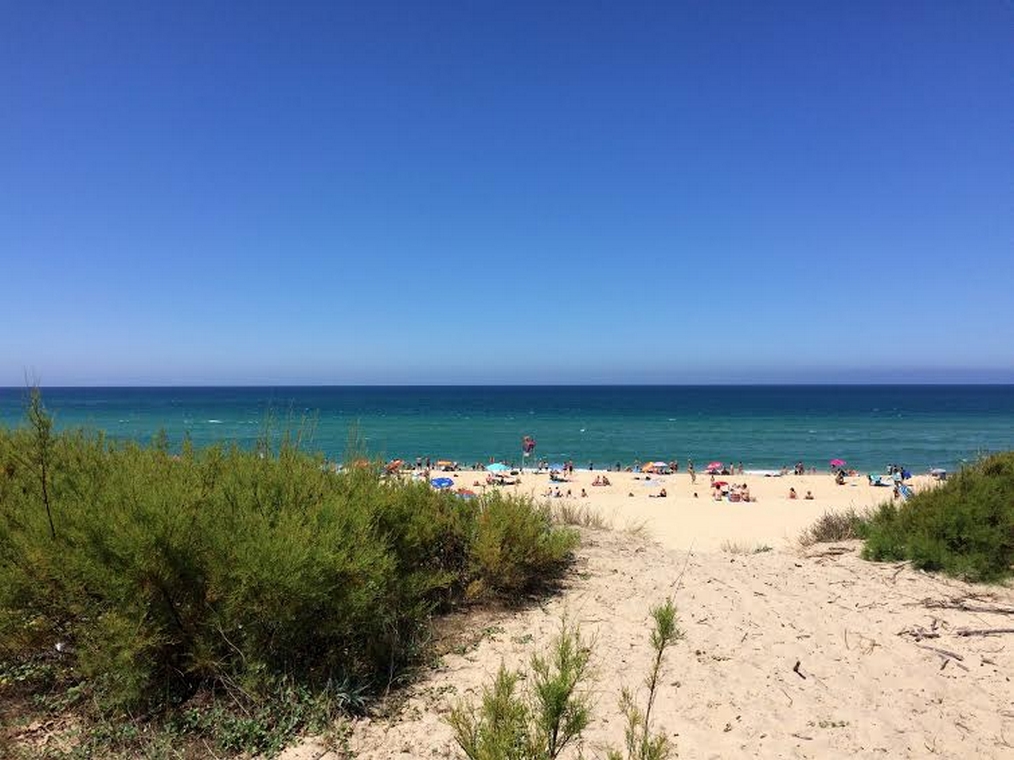 BEL AIR PLAGE - Rouge Gorge