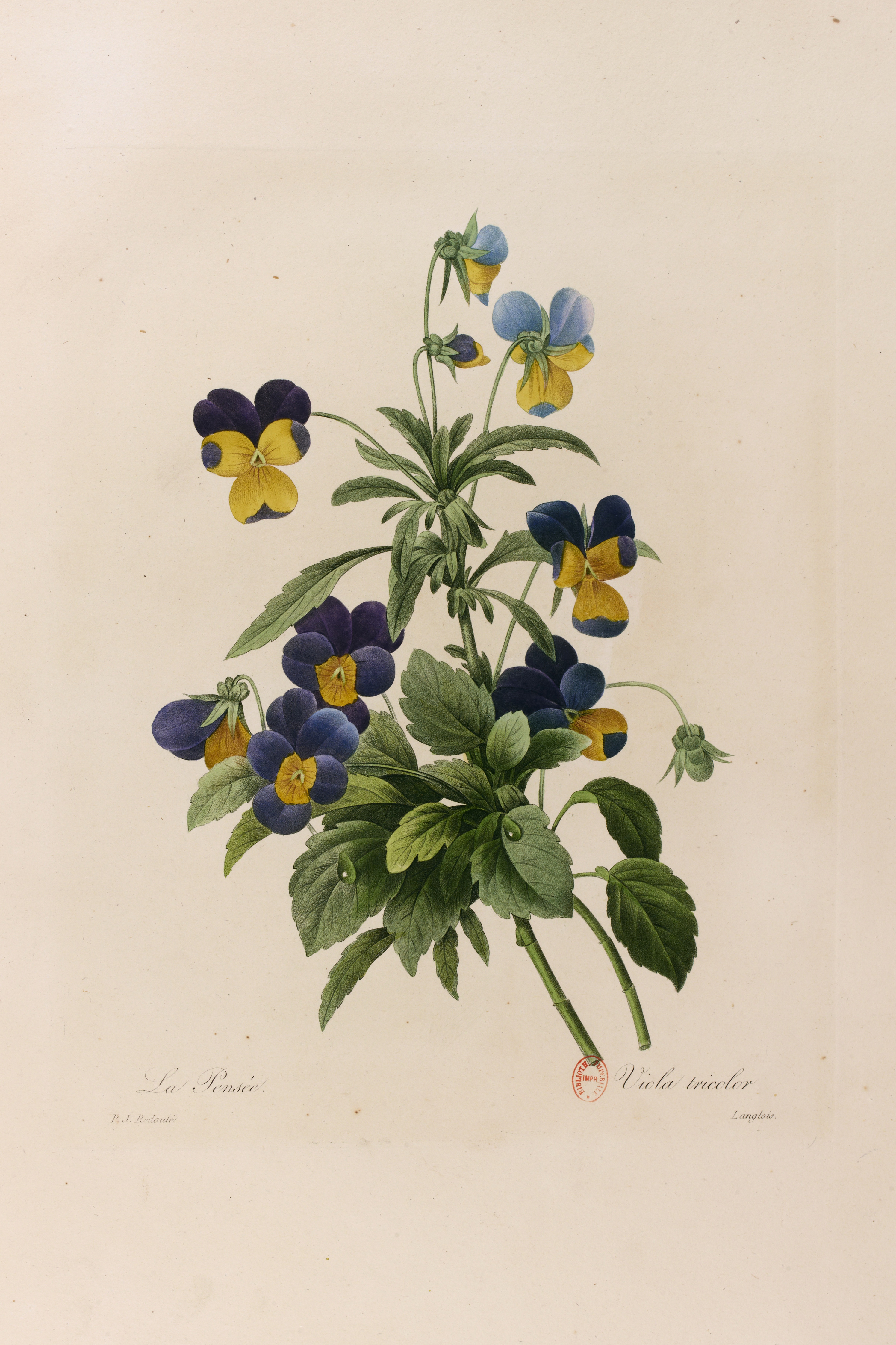 Exposition : Alors nous irons toruver la couleur ailleurs