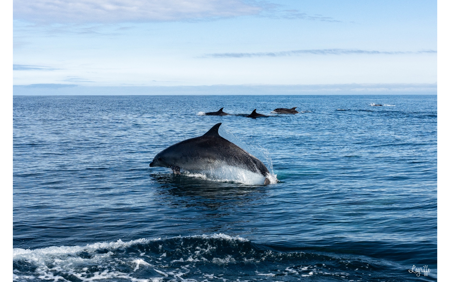 Oceanboat64