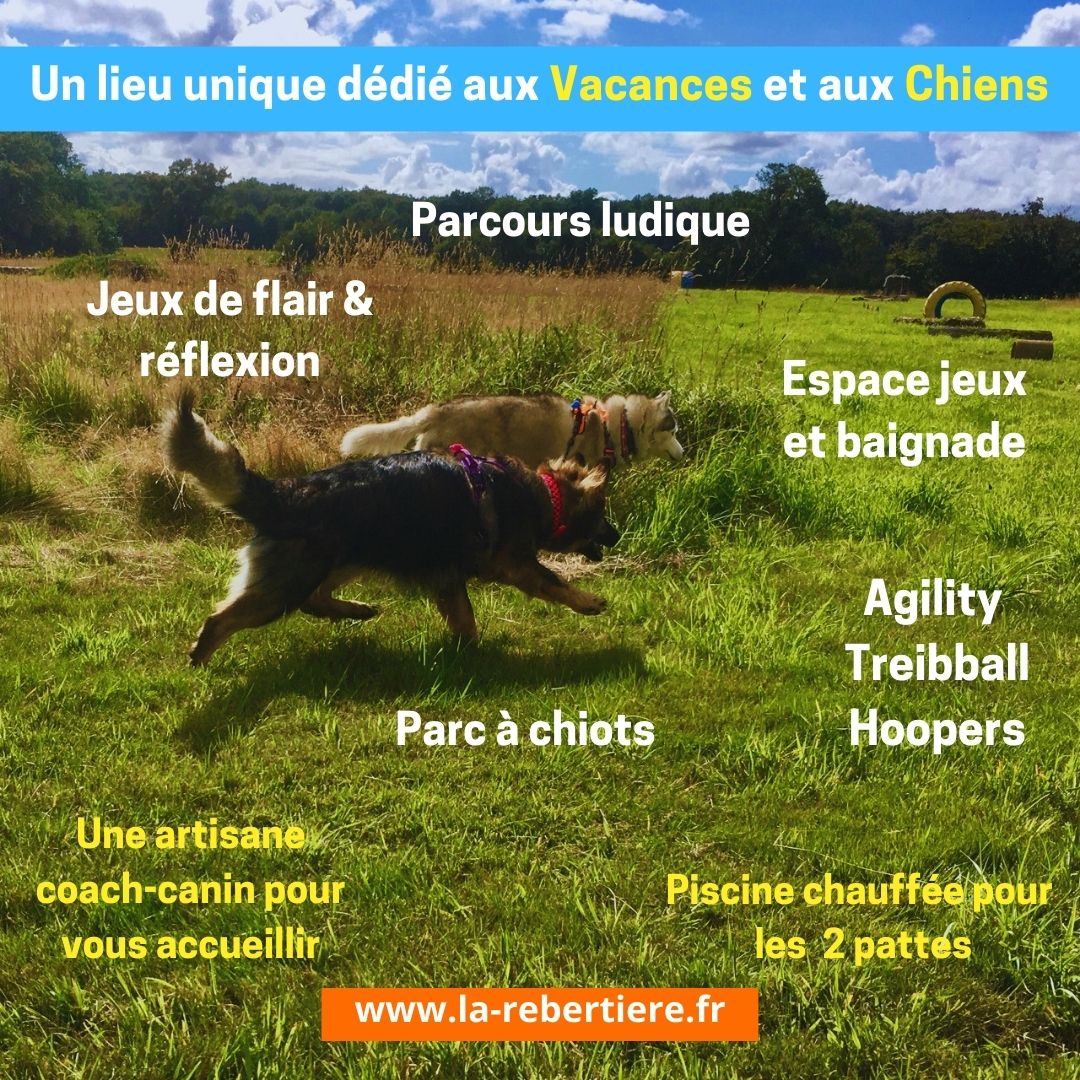 Gîte CrazySam du Parc Canin de la Rebertière
