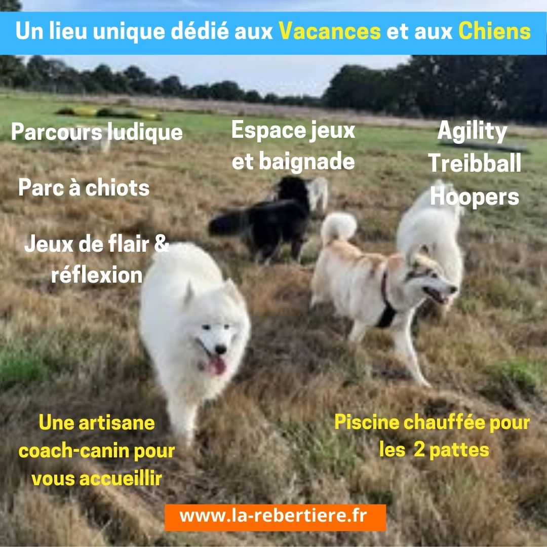 Gîte TiBarny du Parc Canin de la Rebertière