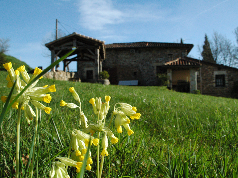 La Petite Grange