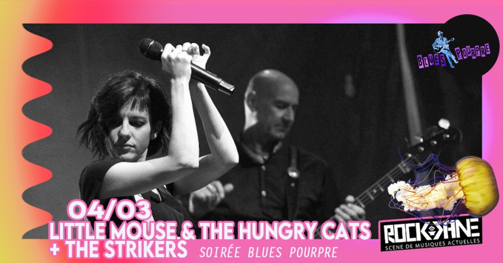 Concert : Litlle mouse & the hungry cats + the strikers