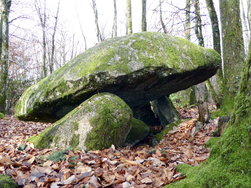 Base VTT FFC des Monts du Limousin - Circuit 4 Le dolmen