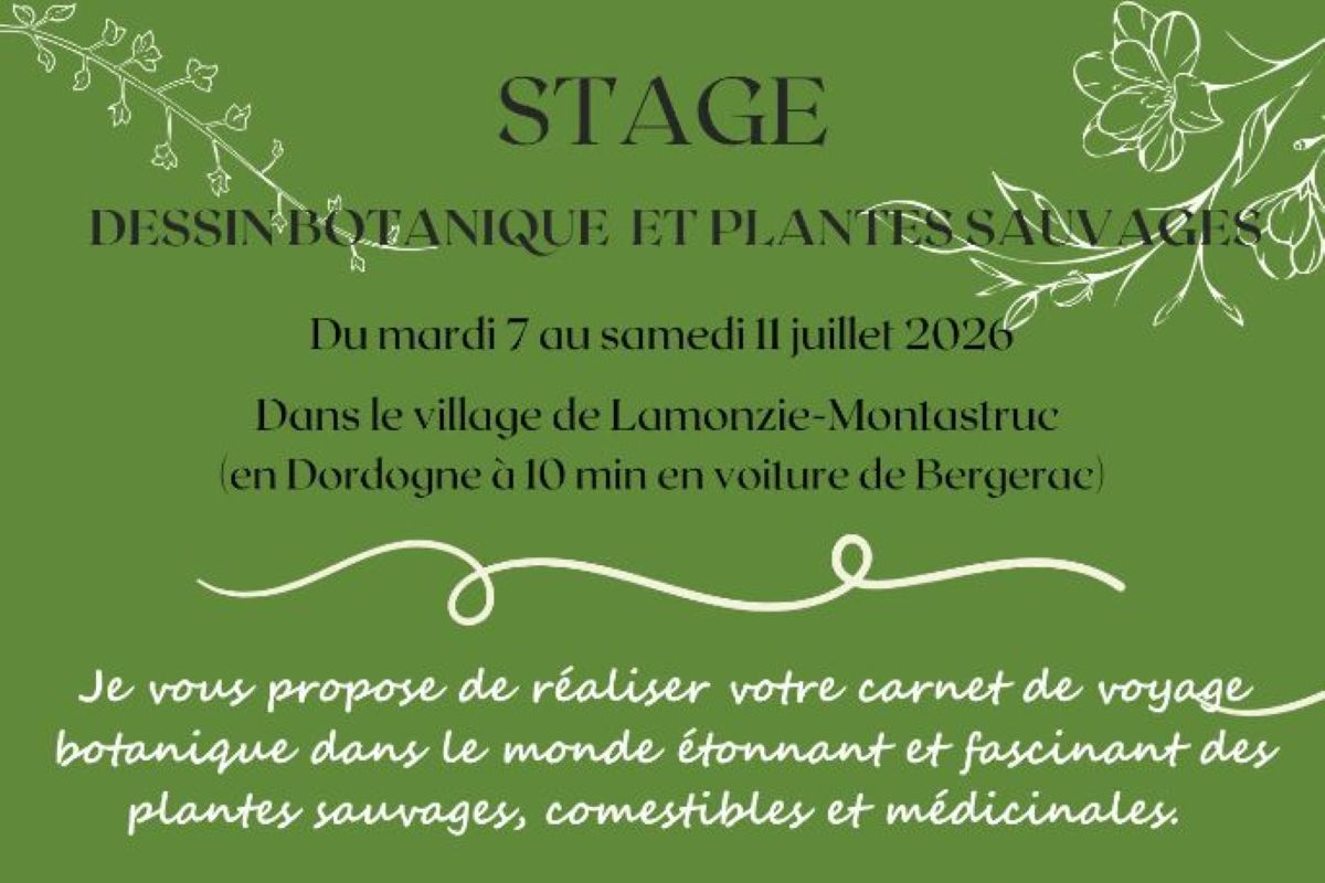 Stage dessin botanique et plantes sauvages