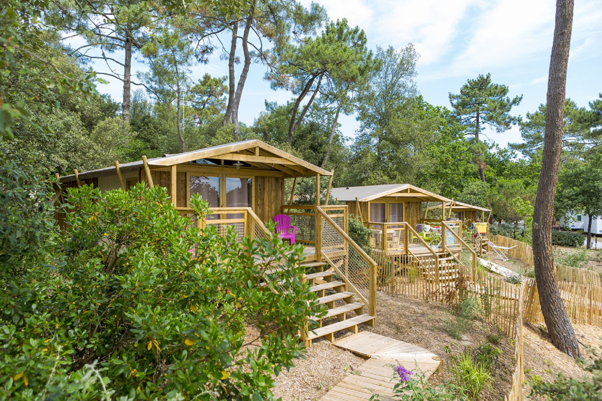 Camping des Pins & Nicoll's Camp