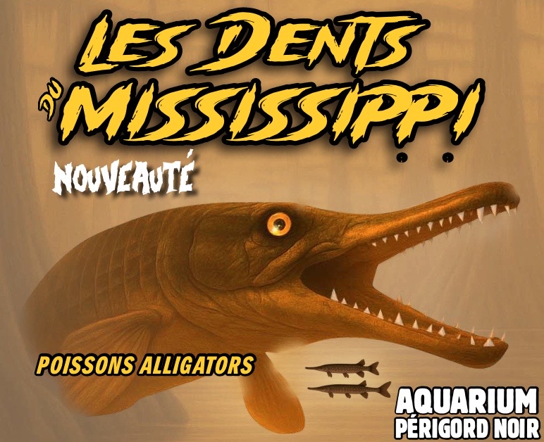 Aquarium du Périgord Noir - Univerland Le Bugue