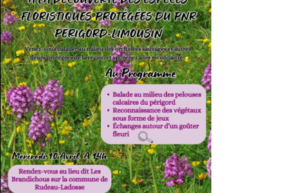 A la découverte des espèces floristiques protégées du PNR Périgord - Limousin