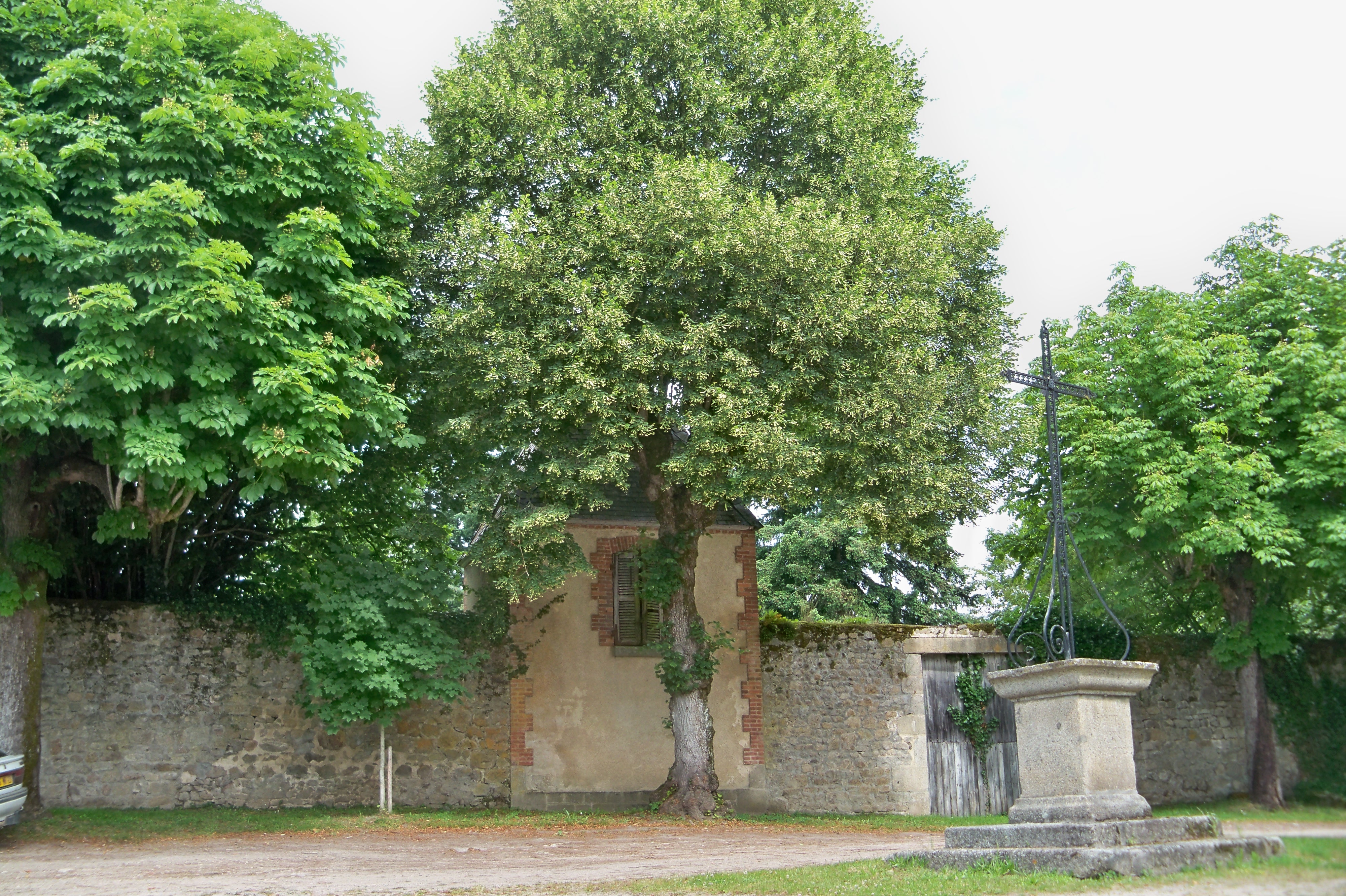 Circuit des acacias