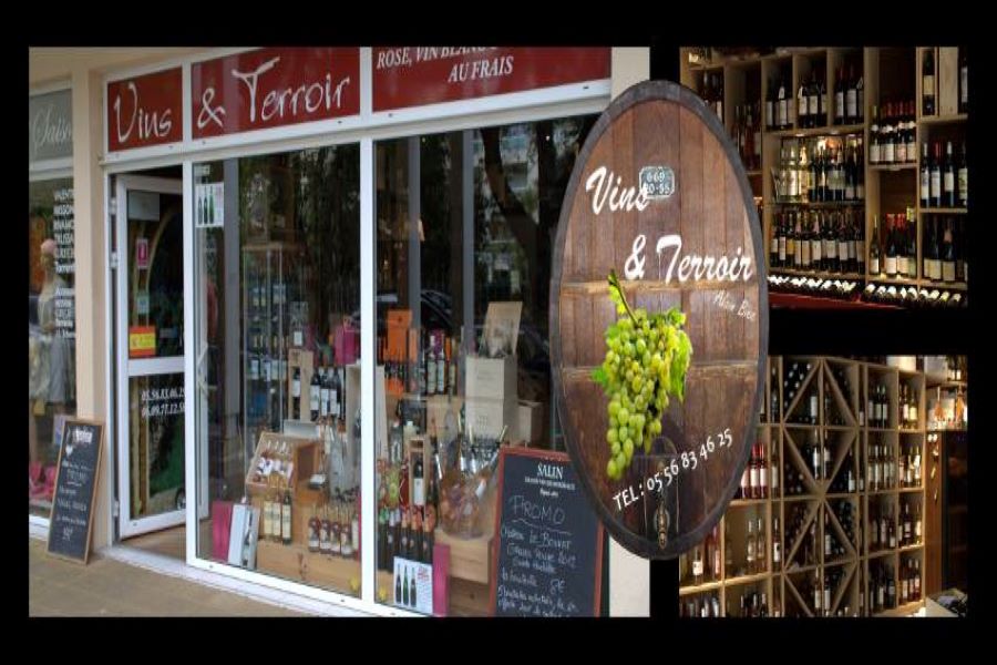 Vins et terroirs