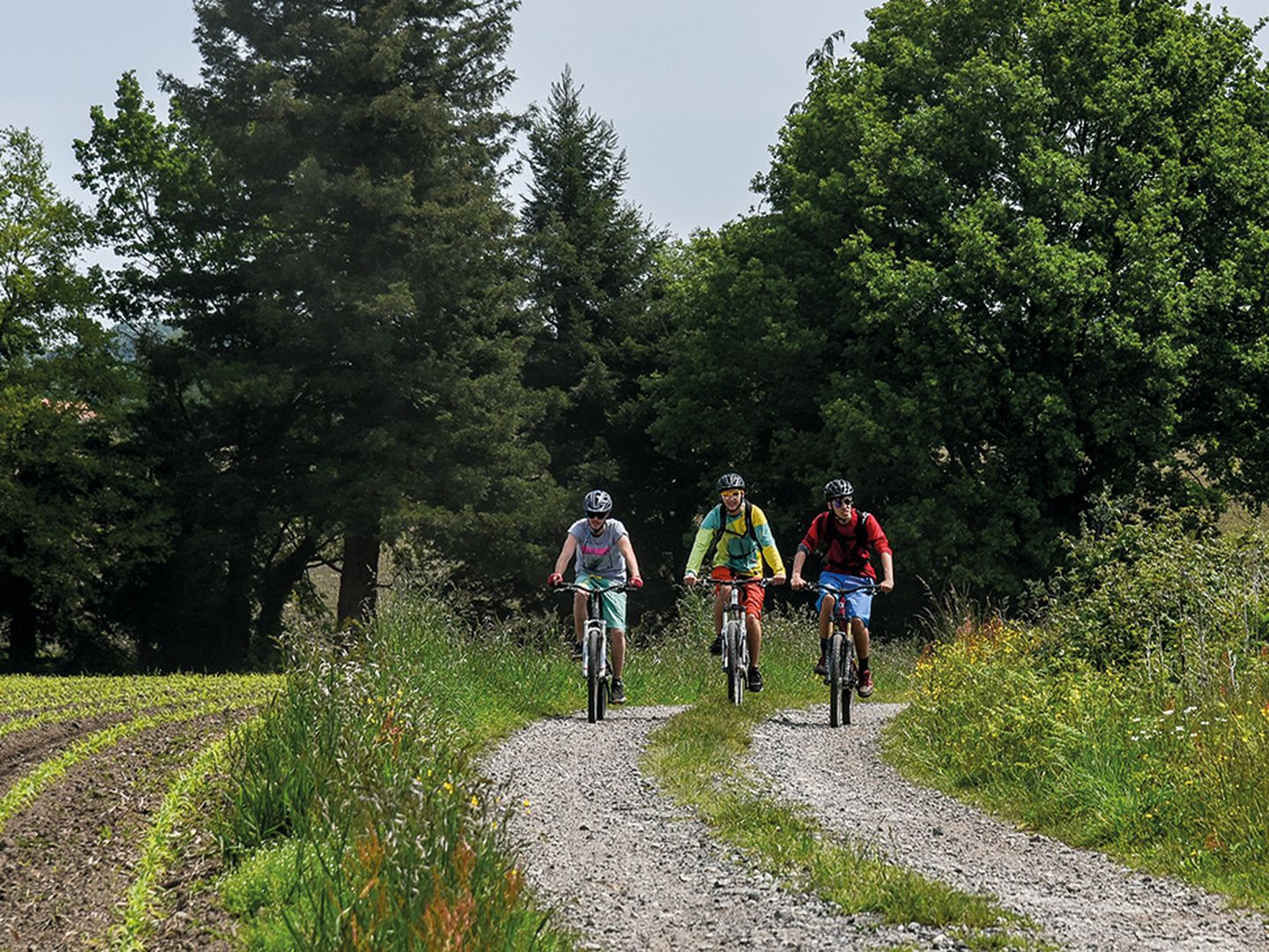 Ouillon : chemin des bergers à VTT