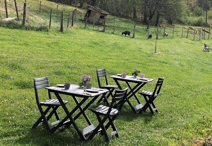 La colline aux sources