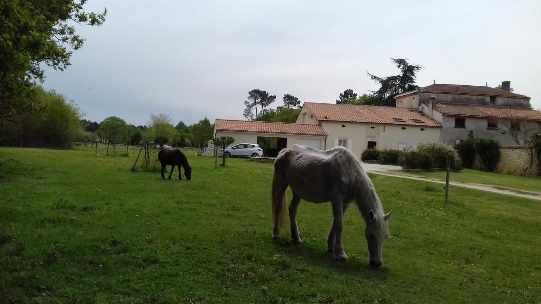 Gîte Les Prés de Courreau