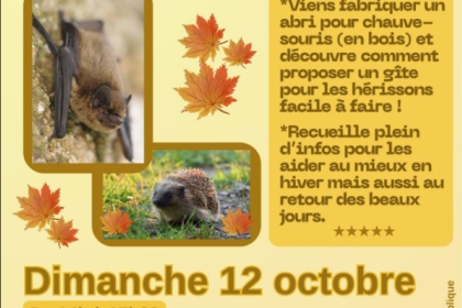 Atelier abris chauve-souris et hérisson