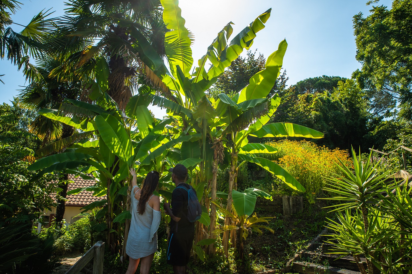 Jardin Botanique