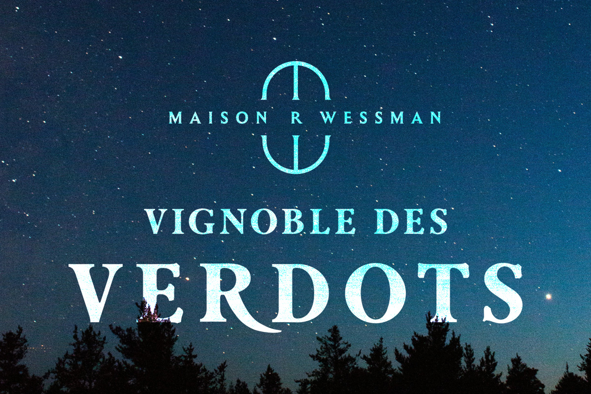 Vignoble des Verdots | Concert Matelyn – Sous les etoiles – Jazz & Soul