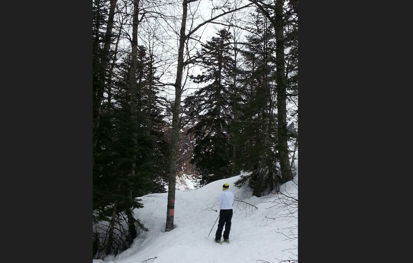 Circuit raquette Le Bois des Crétets