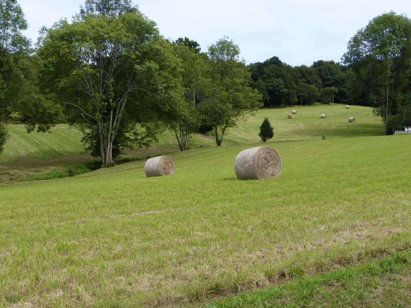 Maucor : Berges du Laaps