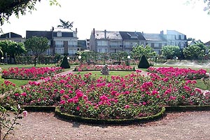 Square Marcel Cerdan, roseraie municipale