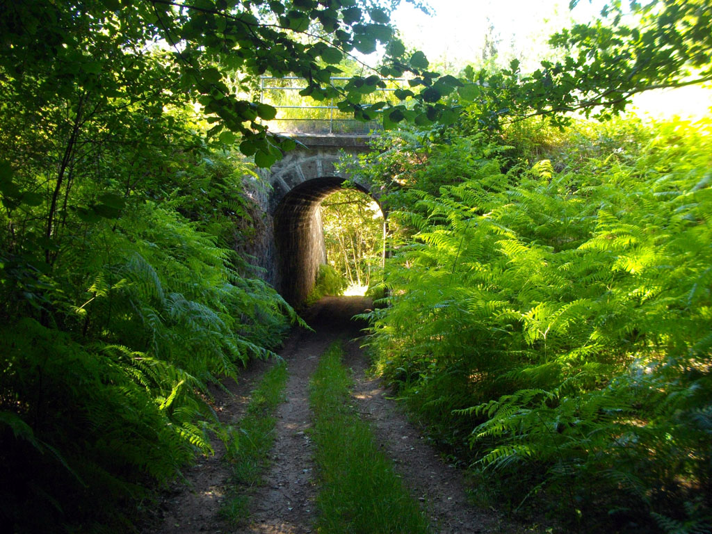 VTT - Gravel - La ronde des moulins - 18 km - circuit 4