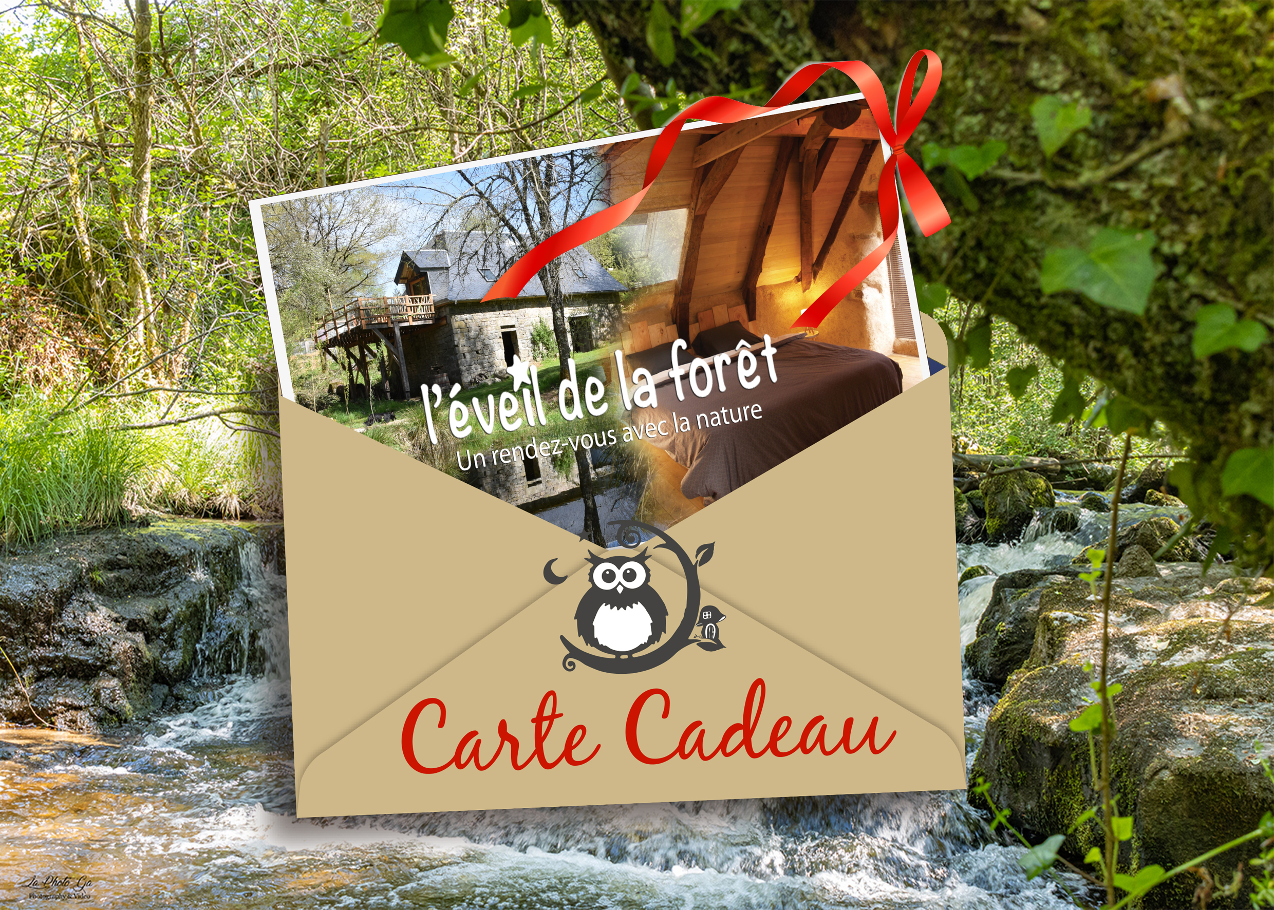 L'éveil de la Forêt - le gîte du Moulin