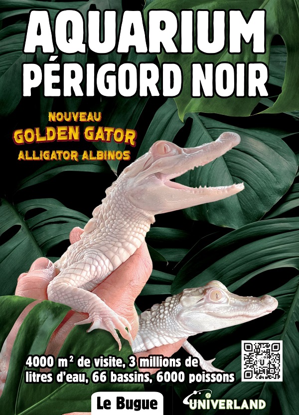 Aquarium- alligators albinos