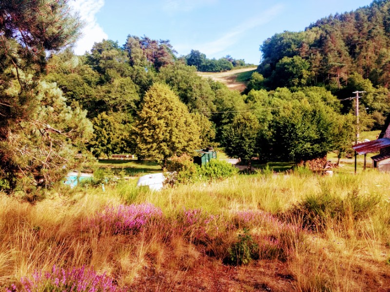 Aire Naturelle Le Moulin de Lacombe