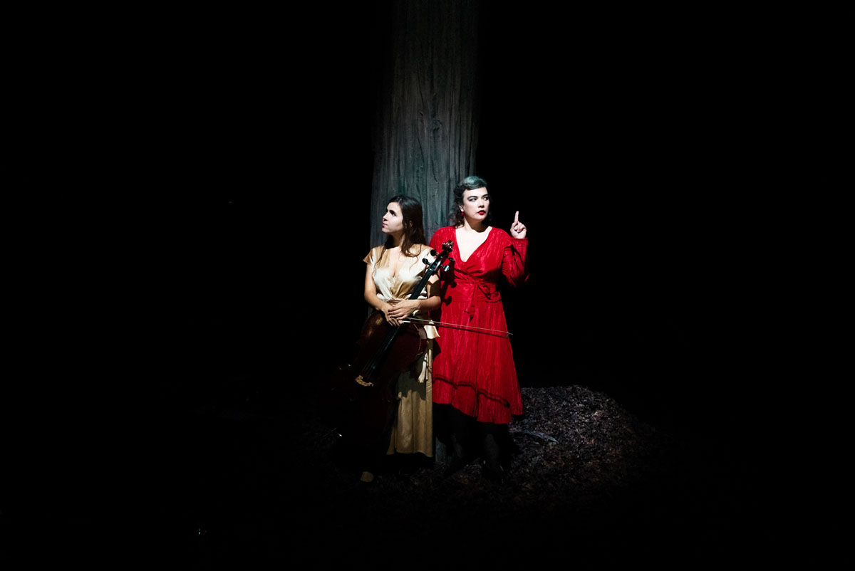 Birds on a wire : Dom La Nena & Rosemary Standley