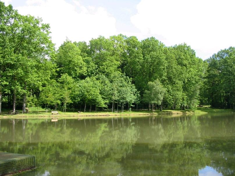 Forêt domaniale de Pompadour