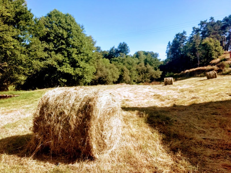 Aire Naturelle Le Moulin de Lacombe