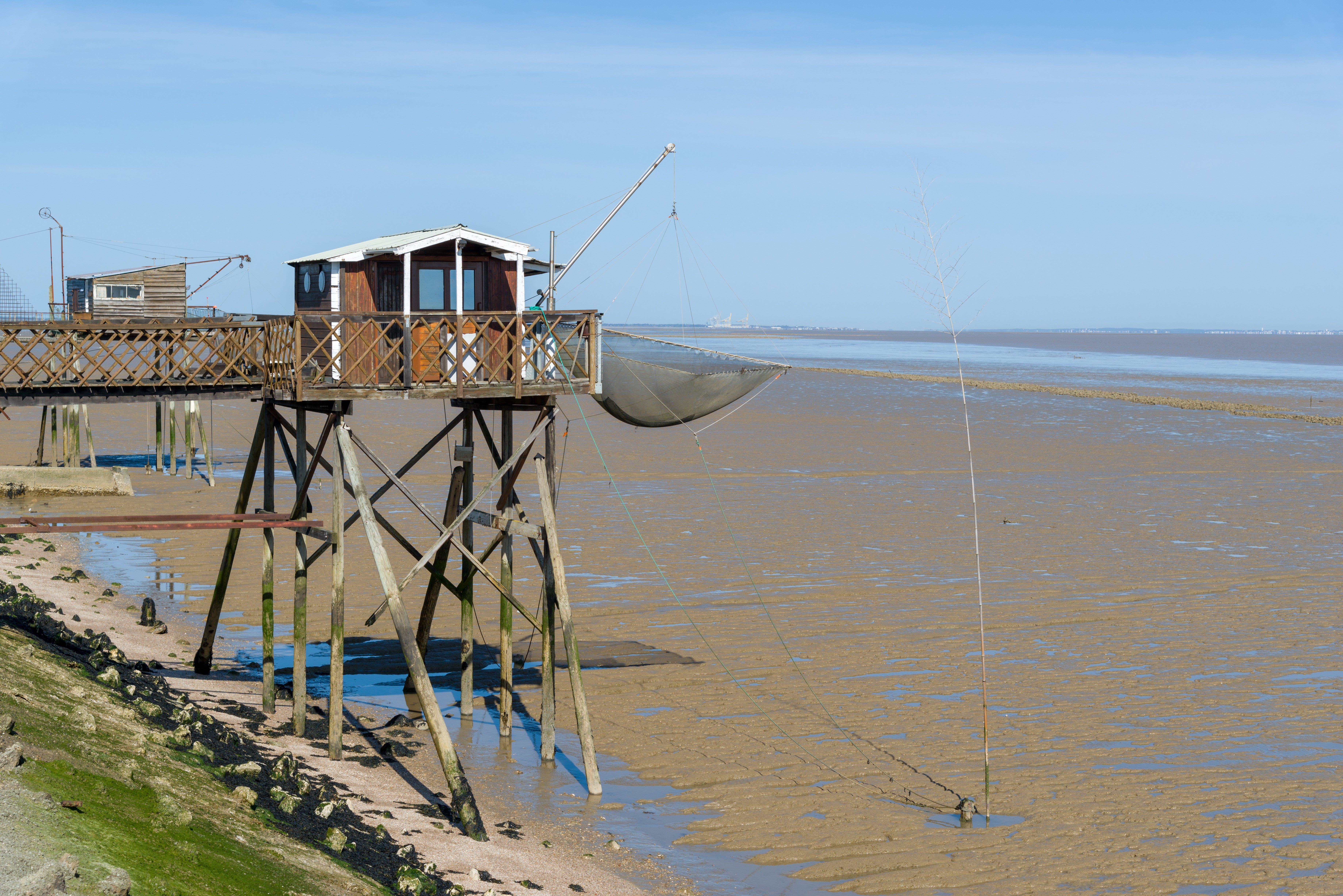Carrelets de Pauillac