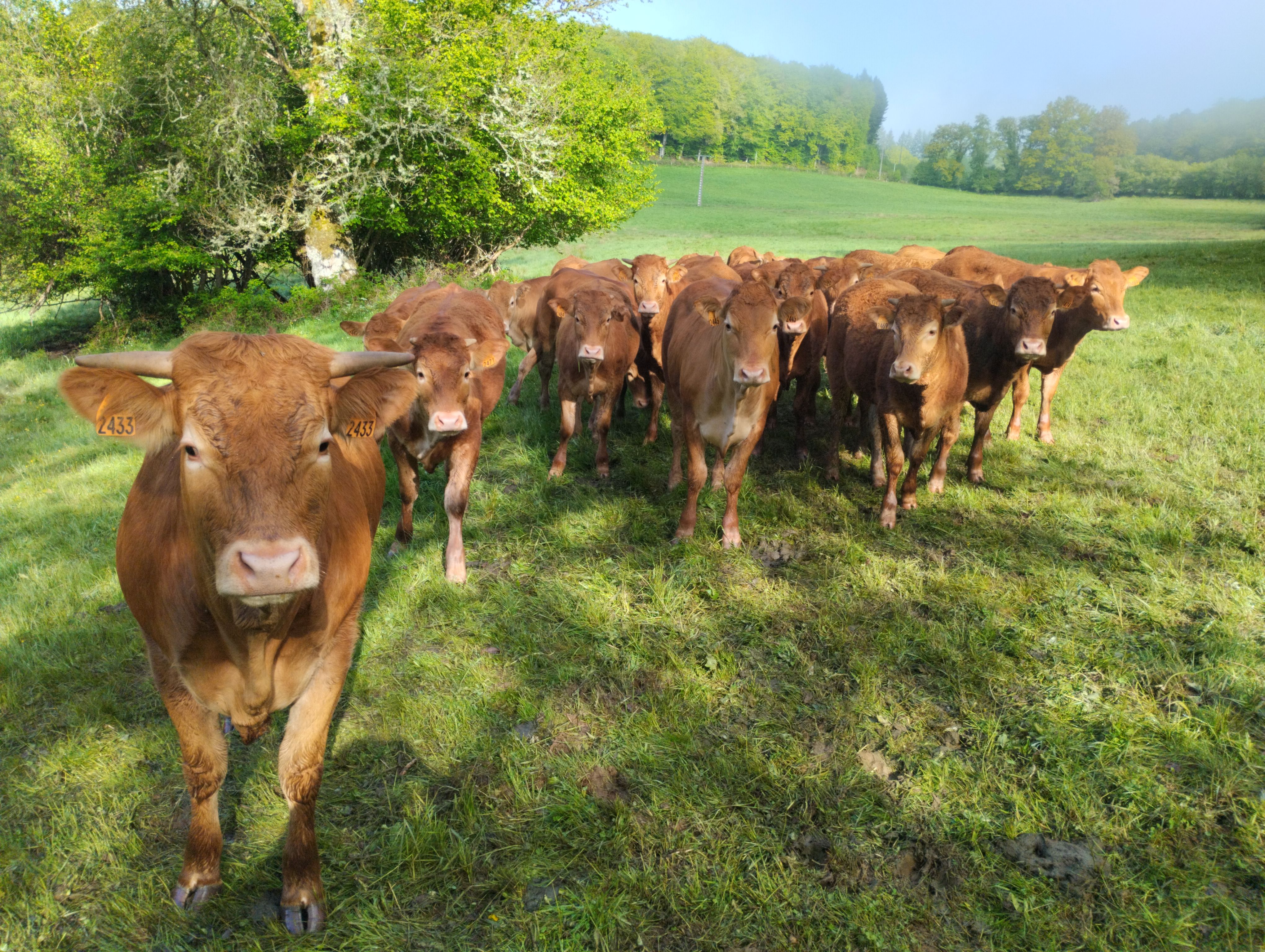 Ferme Pédagogique du Grand Chêne